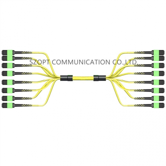 MPO MTP Multicore Trunk Cable